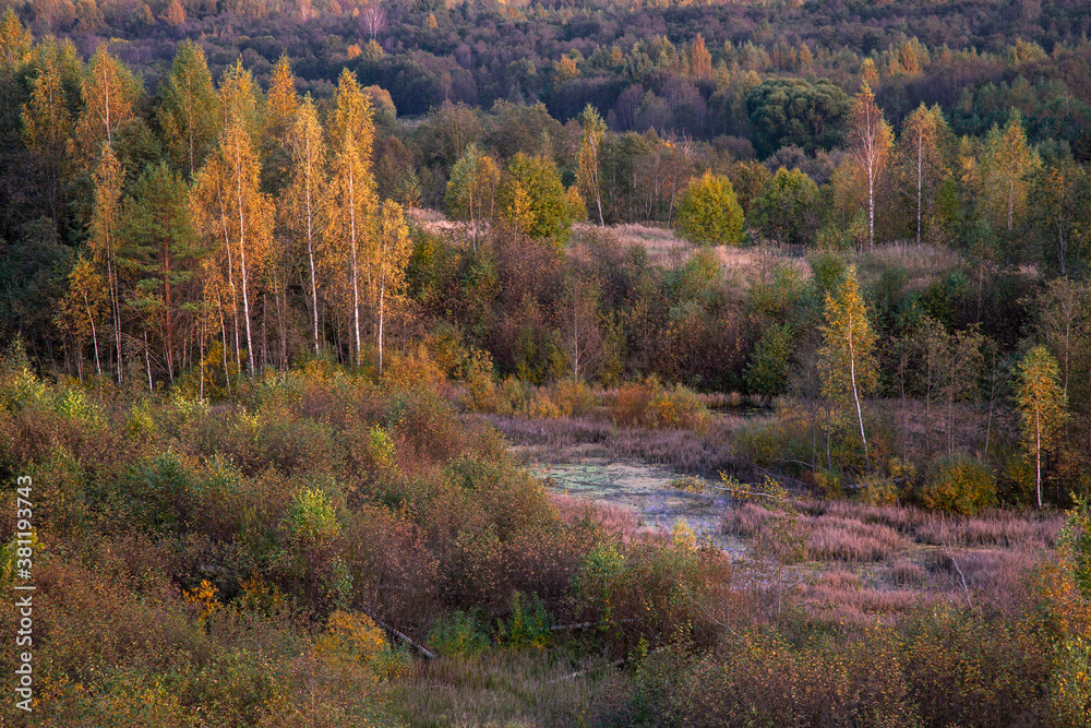 Autumn landscape at sunset