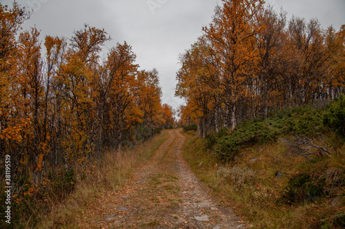 Old mountain road runs through a colorful autumn landscape
