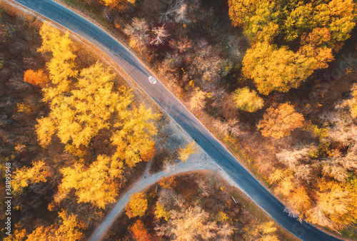 Aerial view of road in beautiful autumn forest at sunset. Colorful landscape with empty road from above, trees with red, yellow and orange leaves in fall. Roadway in park. Top view. Autumn colors
