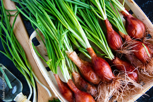 Green onion isolated on the dark concrete background	
 photo