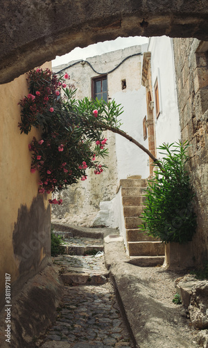 Fototapeta Naklejka Na Ścianę i Meble -  beautiful tree with flowers in the narrow streets of the old town of Rodlos, Greece
