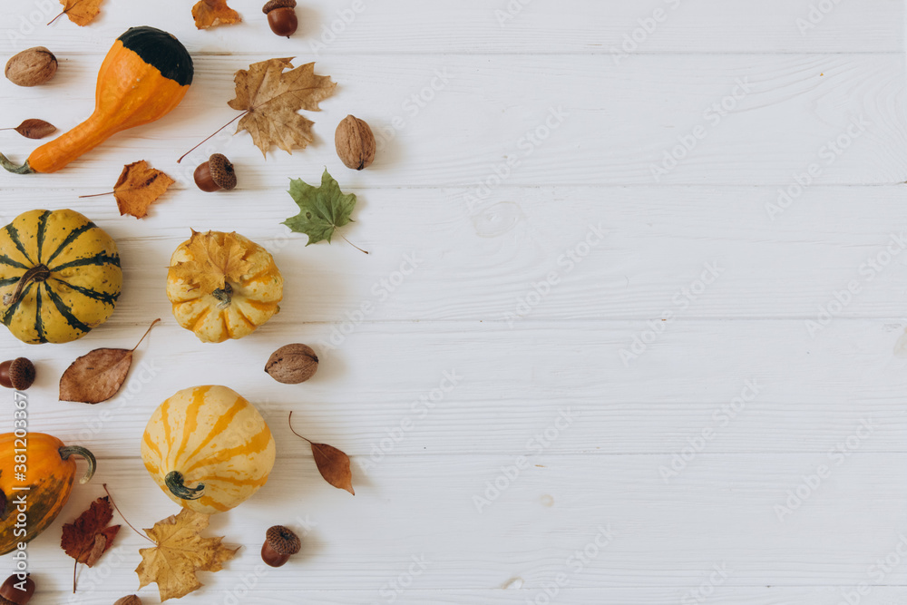 Pumpkins, dried leaves on white wooden background top view. Autumn composition. Thanksgiving day concept.