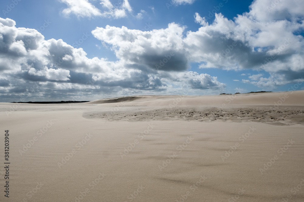 Moving sand dune Rabjerg Mile in northern Jytland, Denmark, Europe