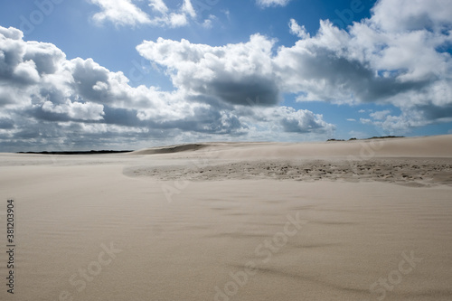 Moving sand dune Rabjerg Mile in northern Jytland  Denmark  Europe