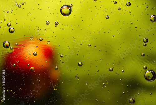 Abstraction with circular motion, bubbles and defocus. 3