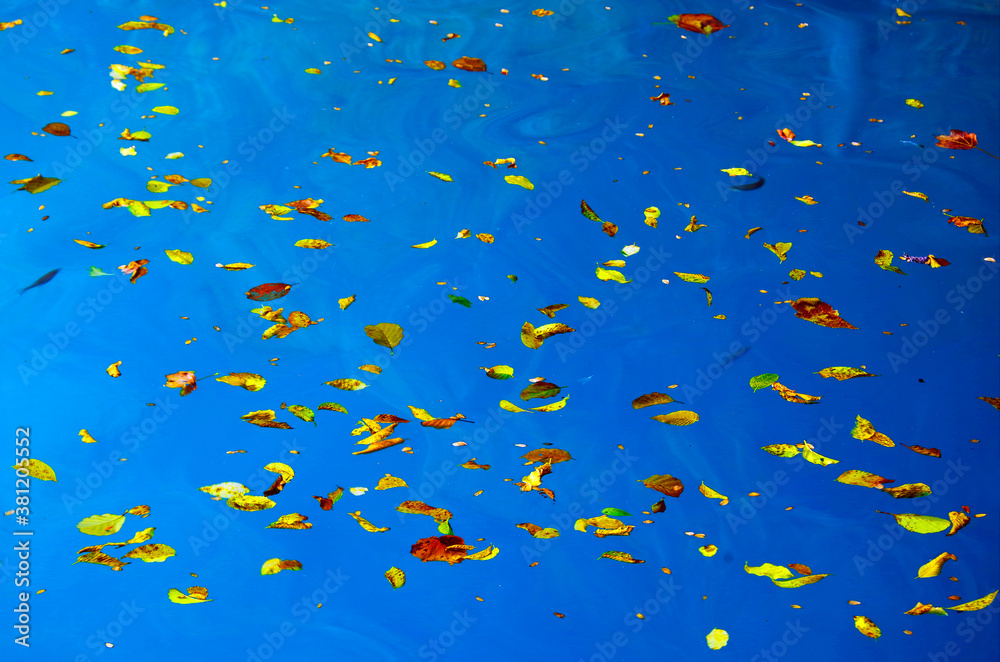 Abstract natural details in Plitvice National Park, Croatia, Europe Abstract natural details in Plitvice National Park, Croatia, Europe
