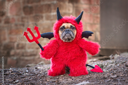 French Buldog dog with red Halloween devil costum wearing a fluffy full body suit with fake arms holding pitchfork, with devil tail, horns and black bat wings standing in front of blurry wall