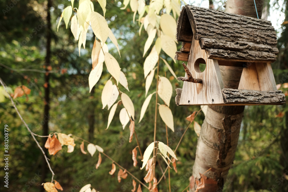 bird house on a tree in the park bird house on a tree in the park