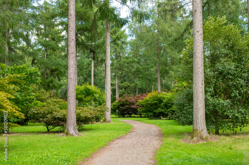 Footpath through the trees Westonbirt arboretum photo