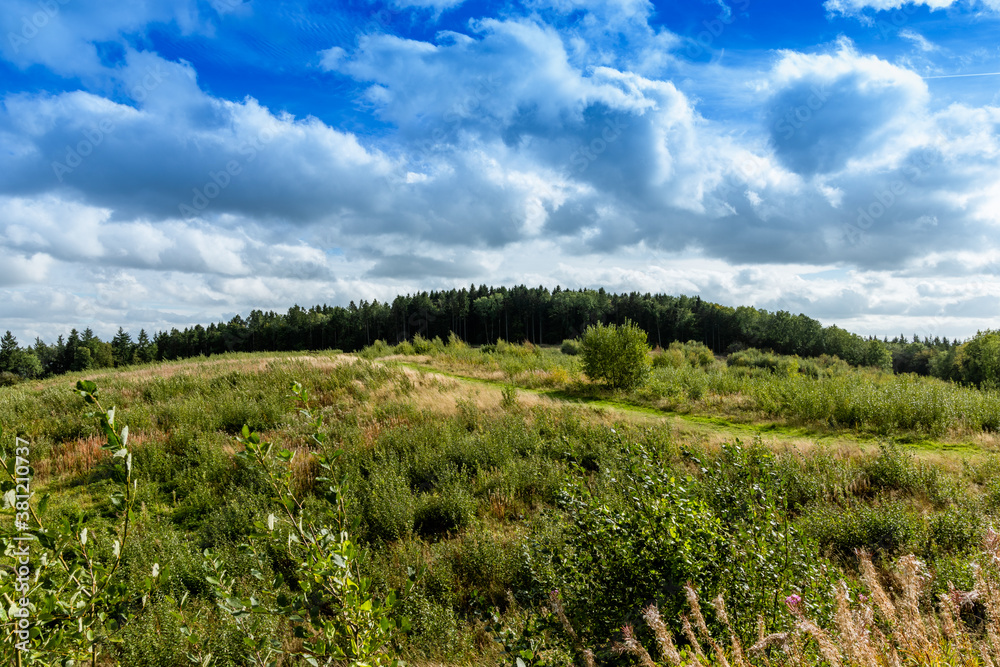 A scenic view of a long distant British forest across a sunny field