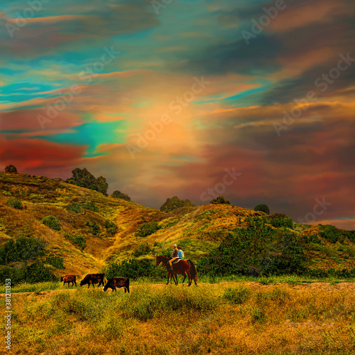 Fototapeta Naklejka Na Ścianę i Meble -  California ranchlands cowboys herding cows sunrise landscape.