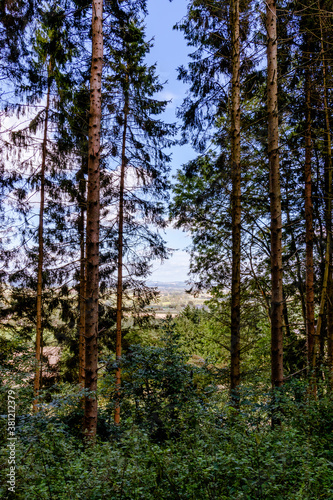 The countryside glimpsed through the trees on a forest walk