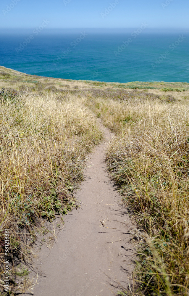 Trail to beach view in Point reyes national seashore