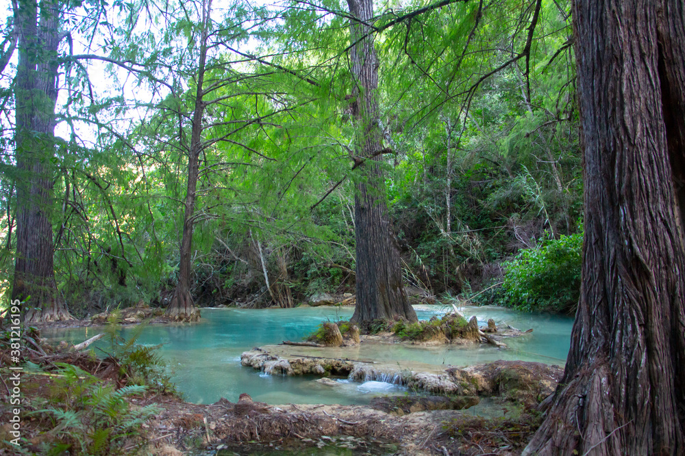 Río en bosque con cascadas, árboles, azul turquesa, hojas verdes, pozas de agua azul, salto de agua.