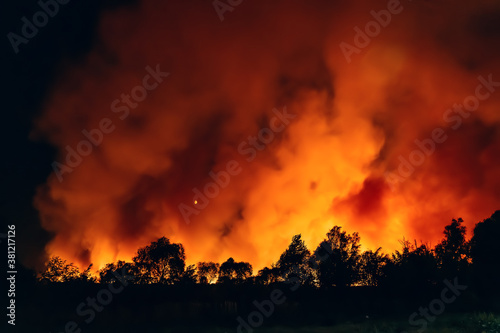 Forest fire at night, wildfire after dry summer season, burning nature in Russia, Voronezh Region.