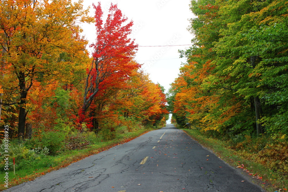 Country Road in Fall in Covey Hill, Qc