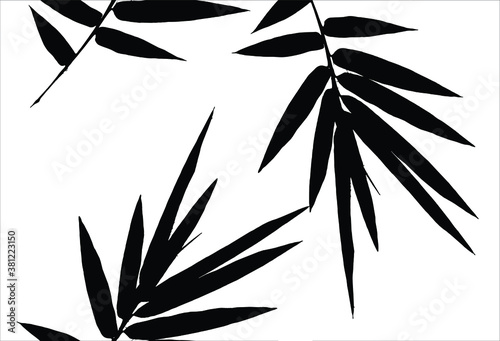 Bamboo leaves, isolated on background, Black and white bamboo leaves