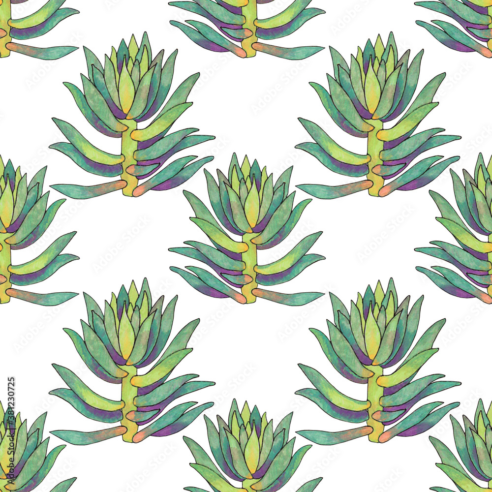 Fototapeta premium Seamless pattern green succulent cotyledon home plant on white background. Art creative hand-drawn object for card, sticker, wallpaper, textile or wrapping