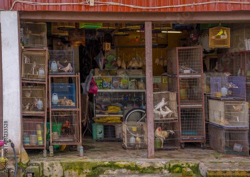 Bird and animal shop in Asia. Birds in kept in cages. Pet shop business. Asia. . 