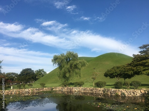 landscape with trees and sky