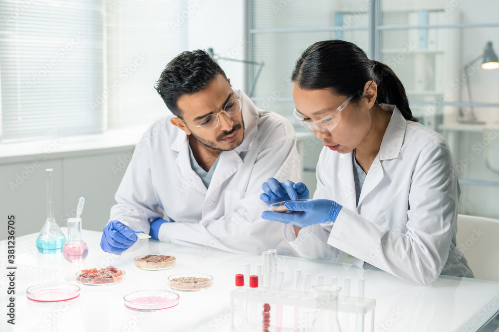 Two young clinicians in whitecoats and gloves scrutinizing sample of raw meat Two young clinicians in whitecoats and gloves scrutinizing sample of raw meat