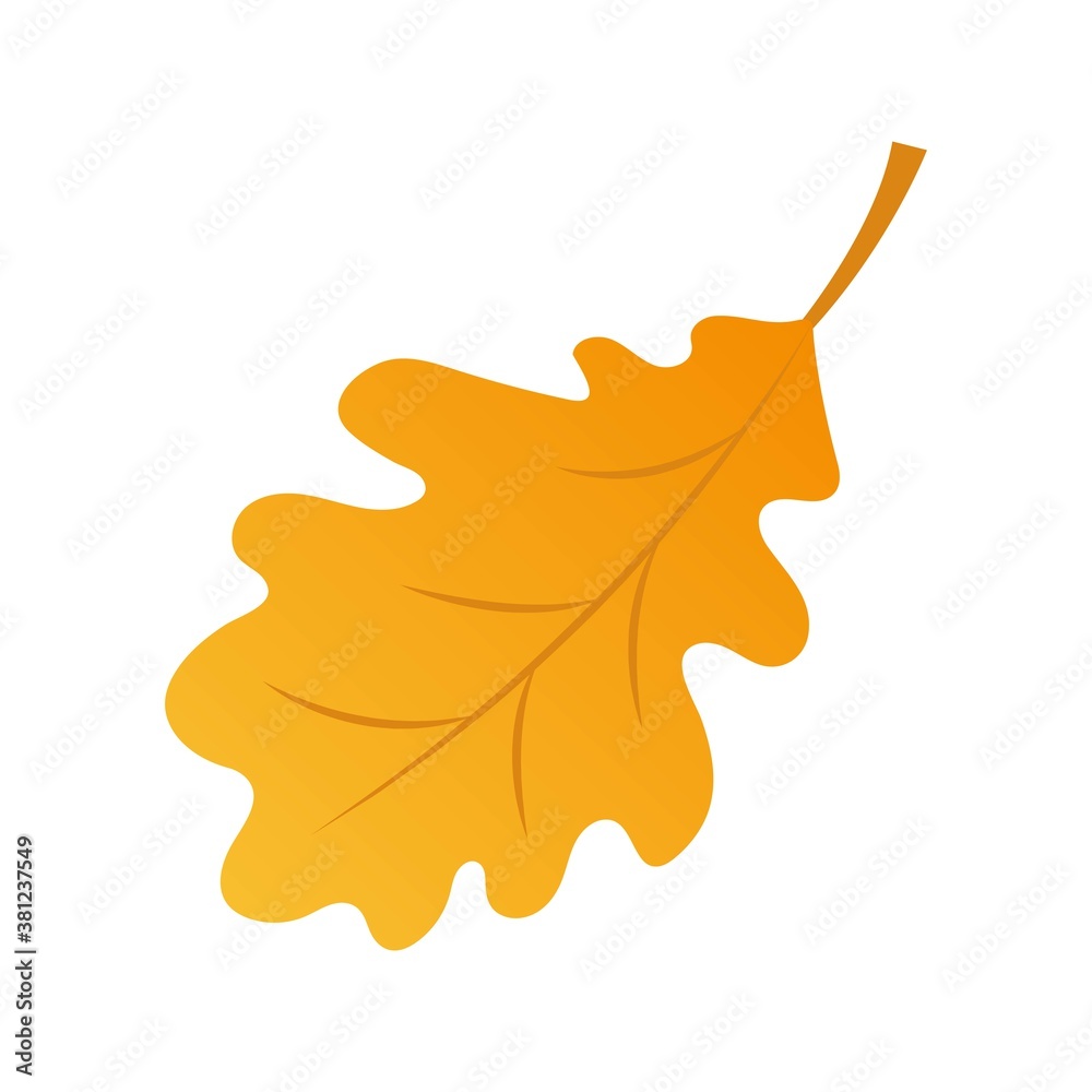 Naklejka premium Autumn dead leaves isolated on white background