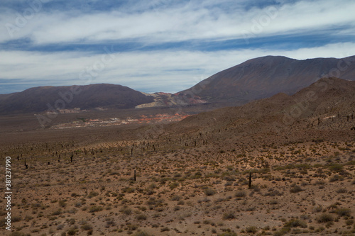 Desert landscape. View of the arid land, valley, vegetation and mountains in the horizon.