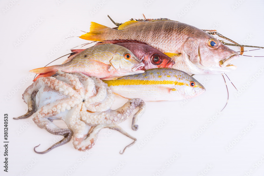 Fresh-catch-of-fish-caribbean-seafood-isolated-on-white-background. Cleverly arranged still life