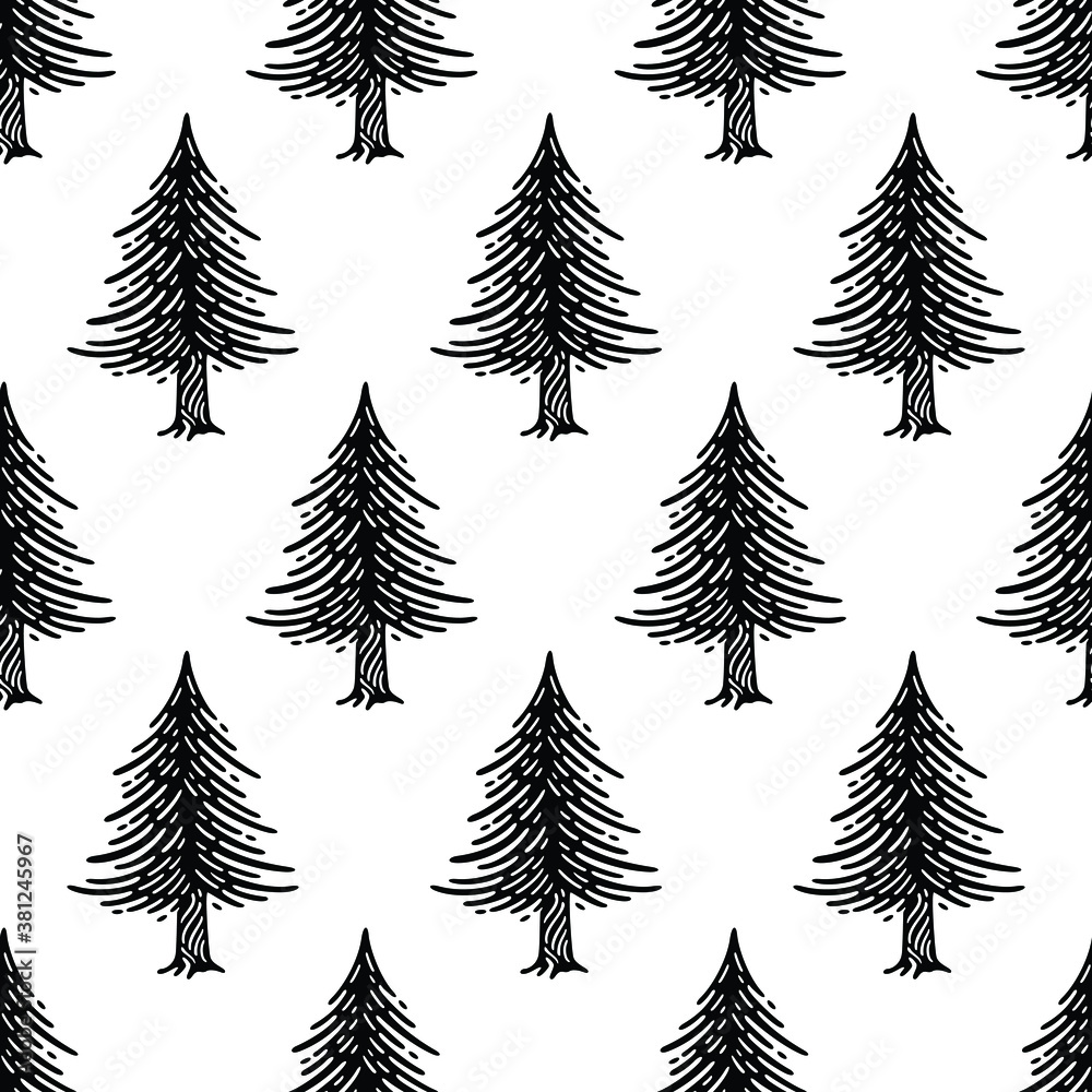 Pine tree seamless vector Patterns. Doodles design on white background.