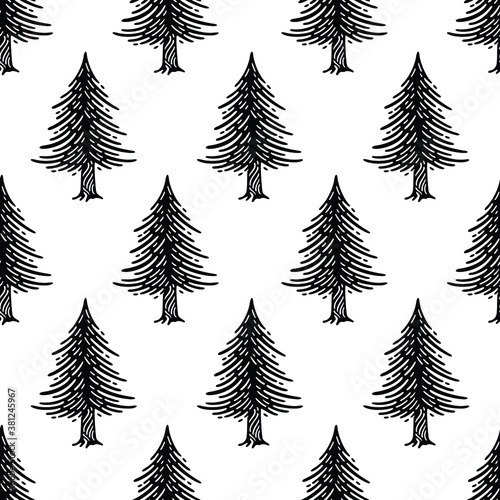 Pine tree seamless vector Patterns. Doodles design on white background.