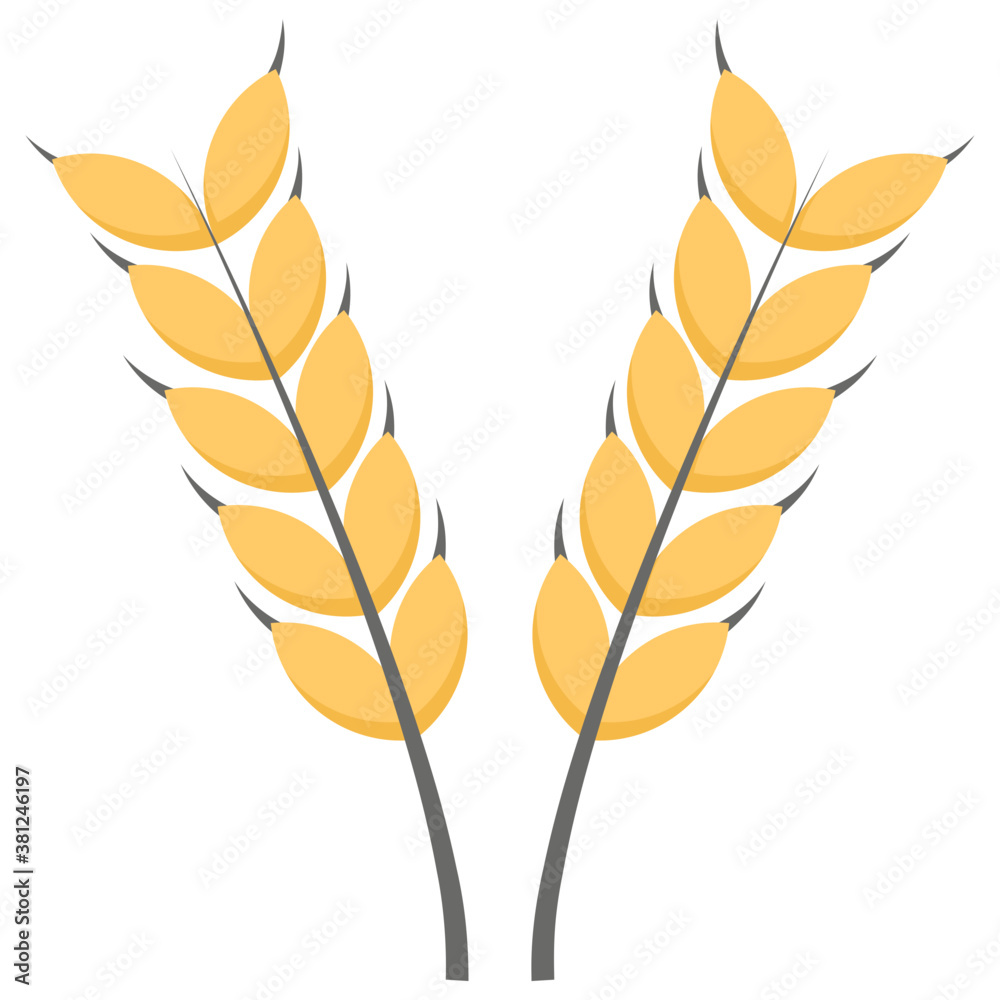 Wheat Ear Wheat Ear