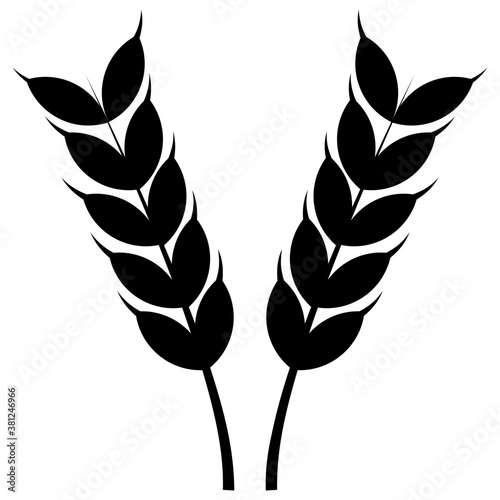 Wheat Ear