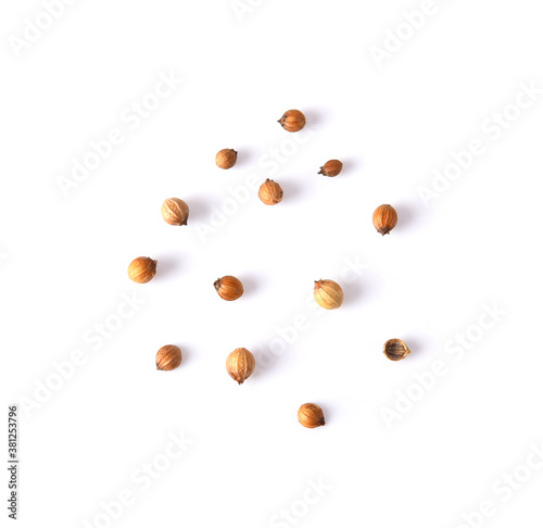 Coriander seeds isolated on white background top view