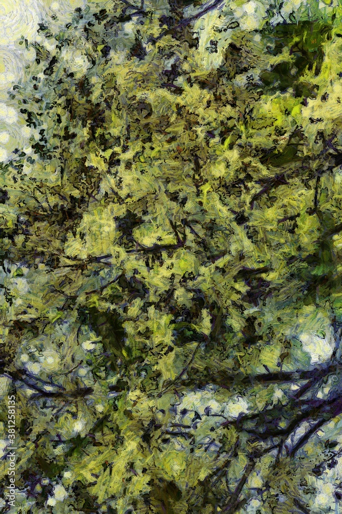 Trees and branches Illustrations creates an impressionist style of painting.