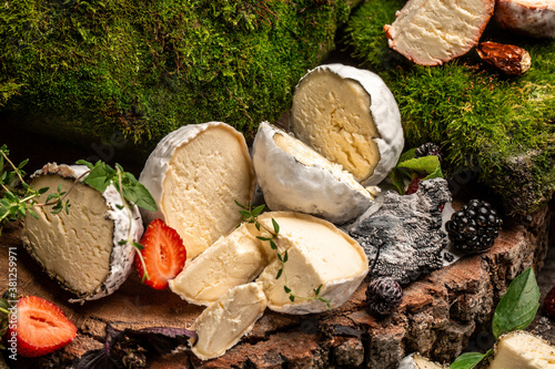 Hard Cheese, Soft Cheese, Blue Cheese, goat cheeses crottin de chavignol, French goat cheese covered with ash, home made cheese farmer, The concept of natural eco food photo