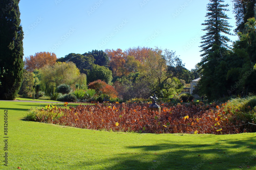 autumn in adelaide botanic park autumn in adelaide botanic park