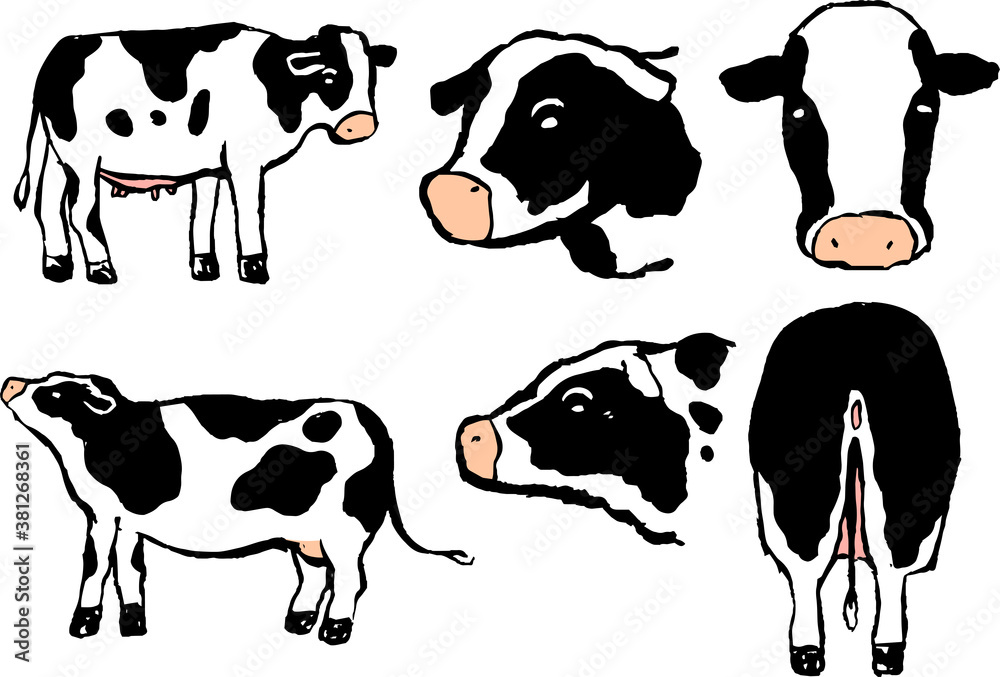 Hand drawn realistic dairy cowillustration set
