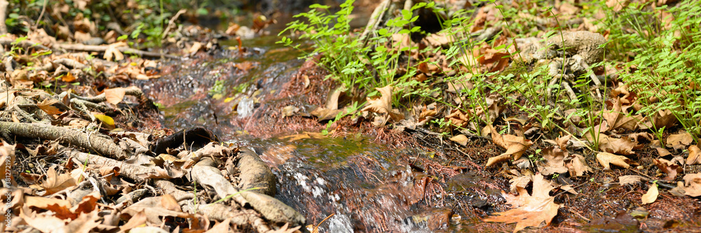 a stream running through the bare roots of trees in a rocky cliff and fallen autumn leaves. banner a stream running through the bare roots of trees in a rocky cliff and fallen autumn leaves. banner