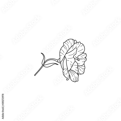 Lisianthus Flowers with leaves. Outline Eustoma In a Modern Minimalist Style. Vector Floral Illustration. For printing on t-shirt, Card, beauty Salons, Posters, creating a logo