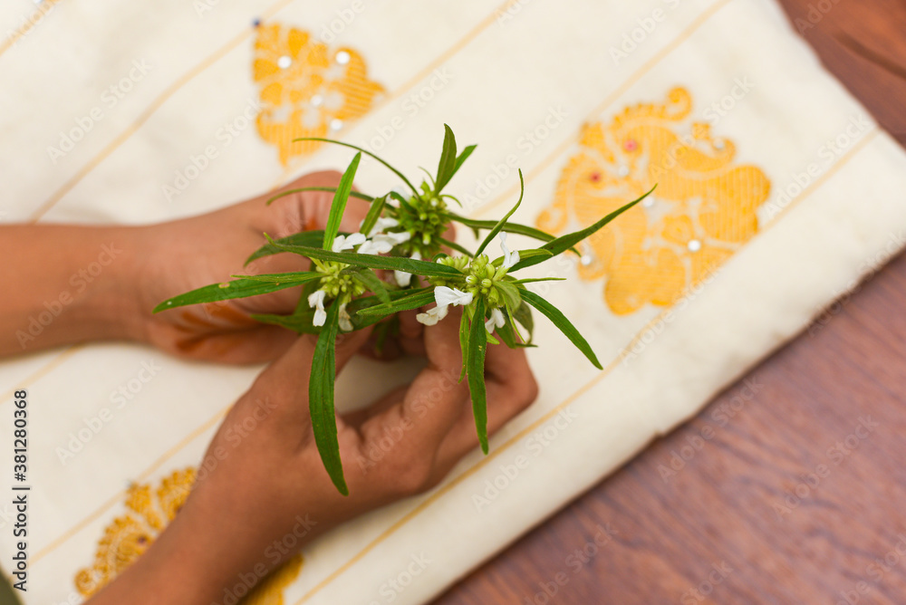 Thumba or Thumbai, Leucas aspera plant on Indian silk Sari Kerala Saree