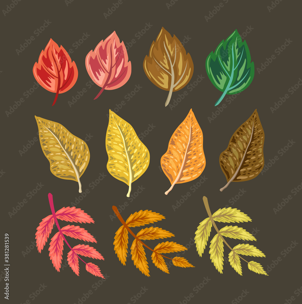 Obraz premium Autumn leaves isolated on black