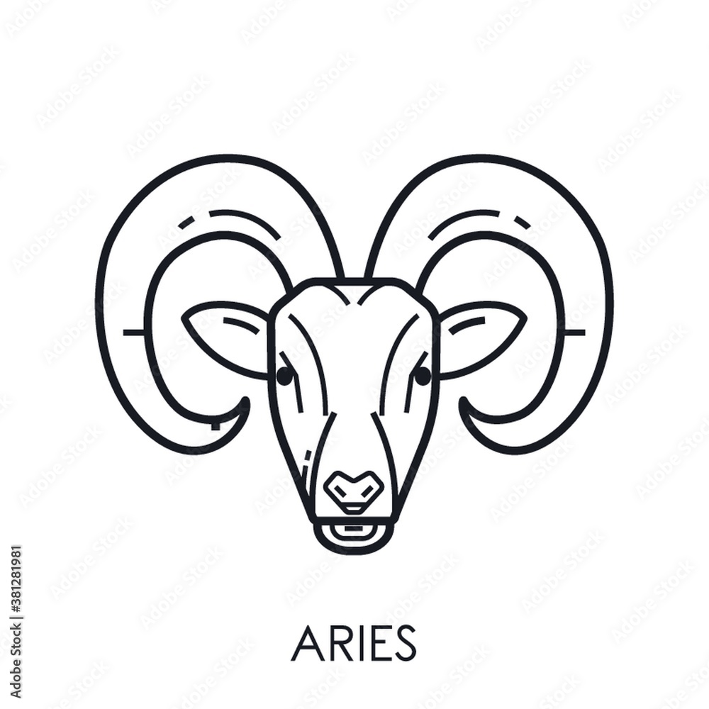 Obraz premium Aries