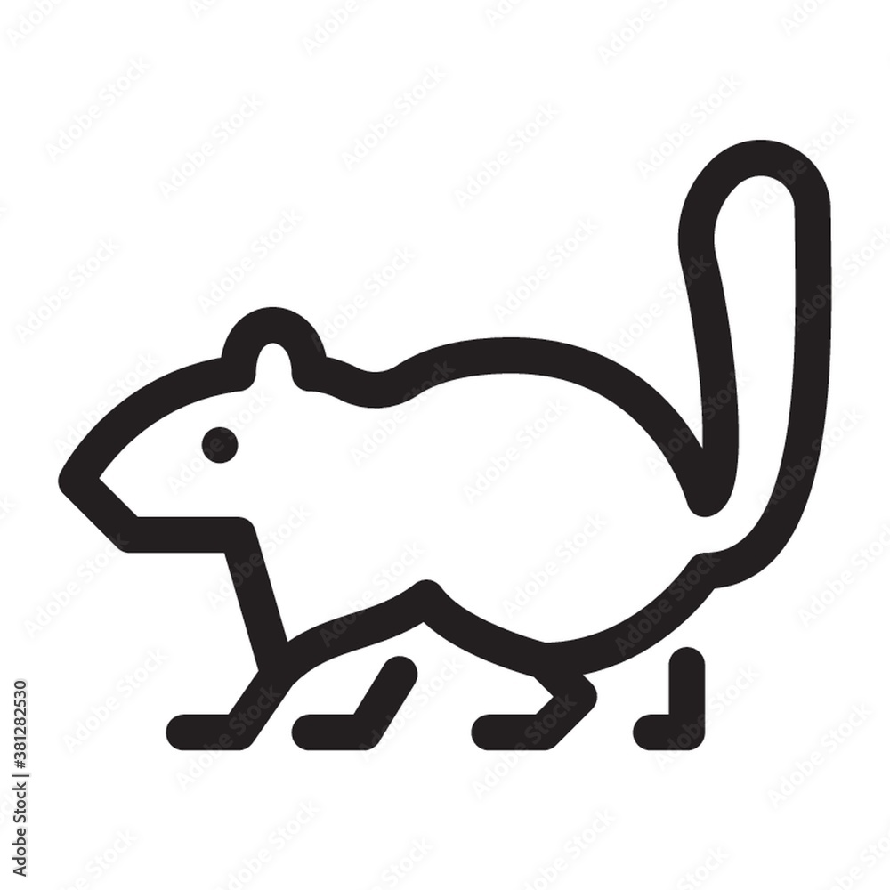 Squirrel on a white background Squirrel on a white background