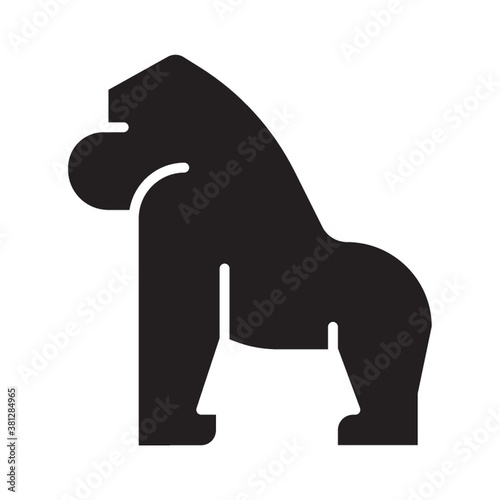 Gorilla on a white background