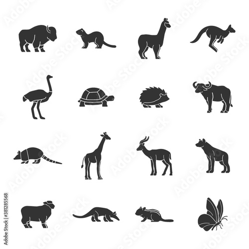 Fototapeta Naklejka Na Ścianę i Meble -  Set of animal icons