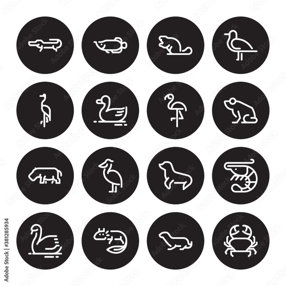 Collection of animals on a white background Collection of animals on a white background