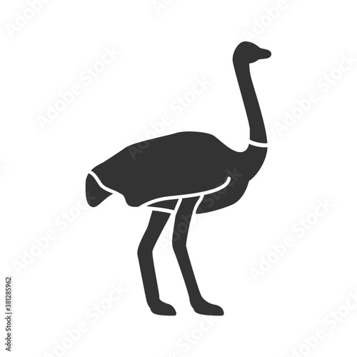 ostrich