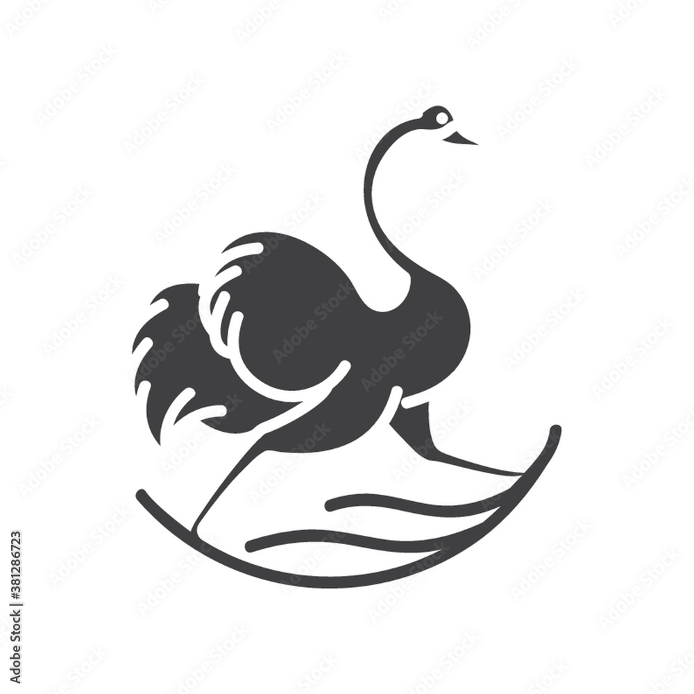 Obraz premium ostrich