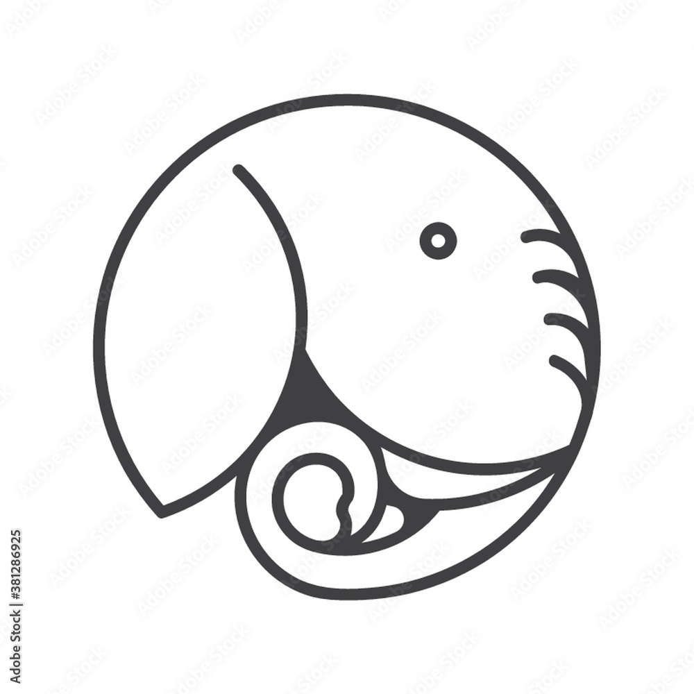 elephant elephant