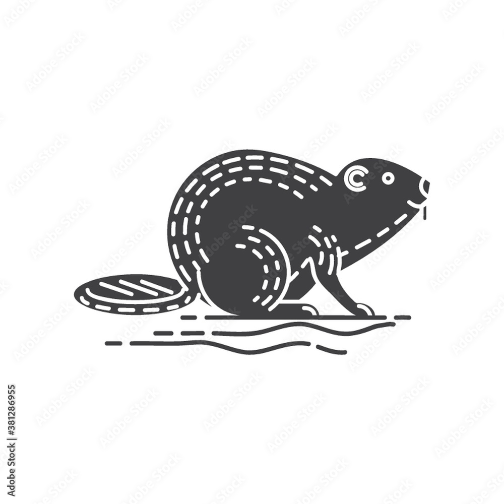 Fototapeta premium beaver